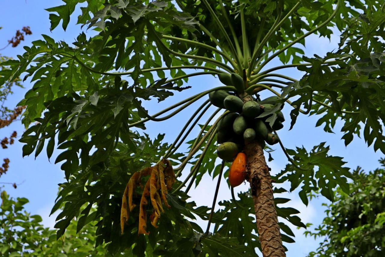 Casa Del Bosque Cancún Eksteriør billede